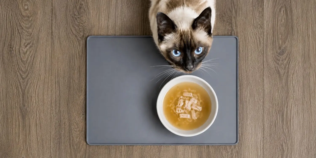 soupe-pour-chat-aliment-hydratant